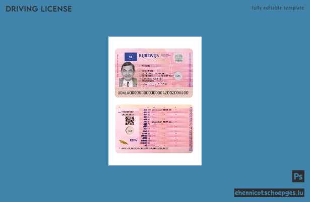 Niederländischer Führerschein 2014-heute – Beispielvorschau